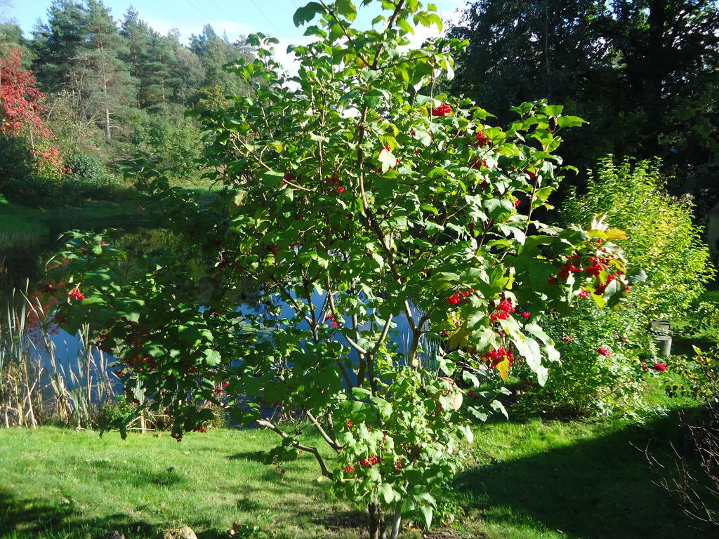 Homestay Roja Vilnius Exterior photo